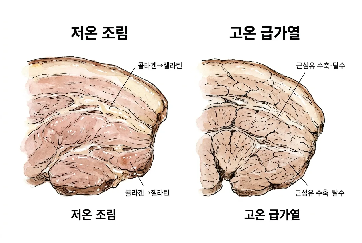 저온 조림으로 결이 녹는 챠슈 단면과 고온 급가열로 근섬유가 수축·탈수해 질겨진 단면 비교